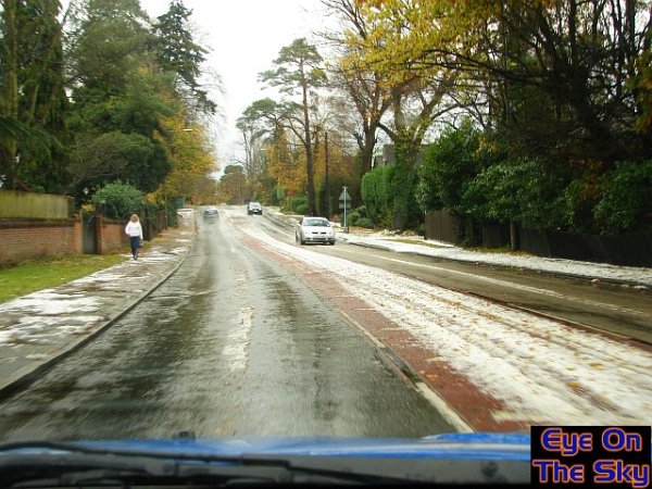 A wintry scene