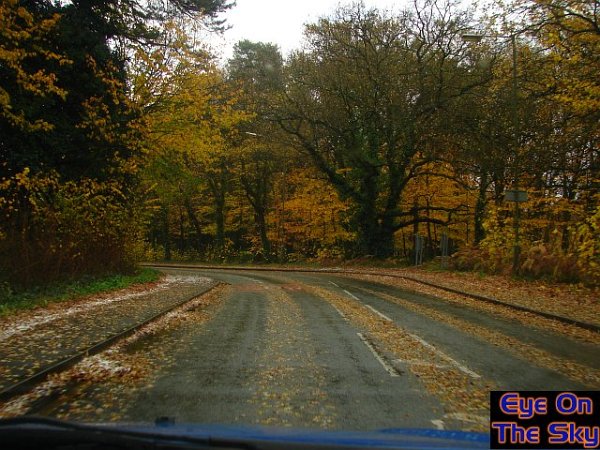 Autumnal