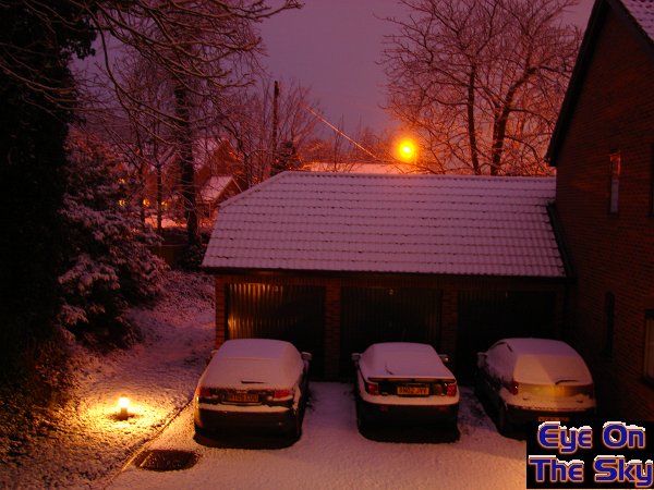 Purple dawn