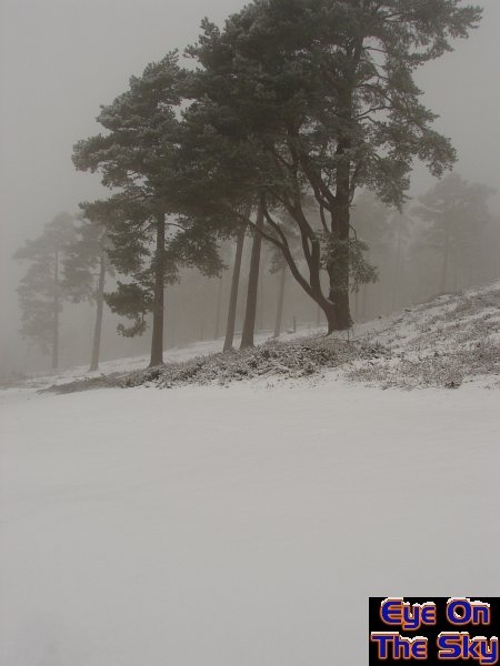 Bleak mid-winter