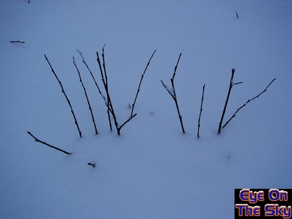 Twig snow