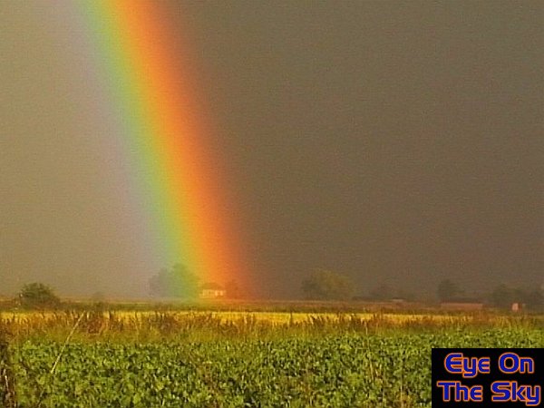 Pot of gold?
