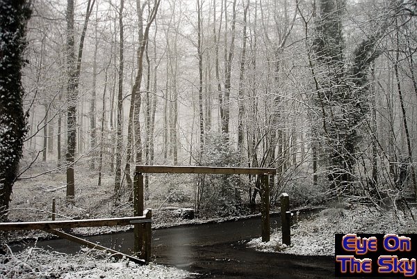 Snow on Leith Hill (again)