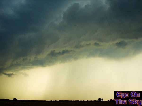 Amazing gust front