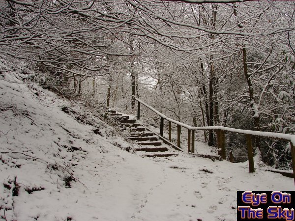 A snowy Leith Hill, Surrey