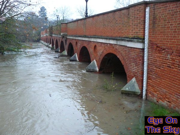 Mole bridge in Leatherhead
