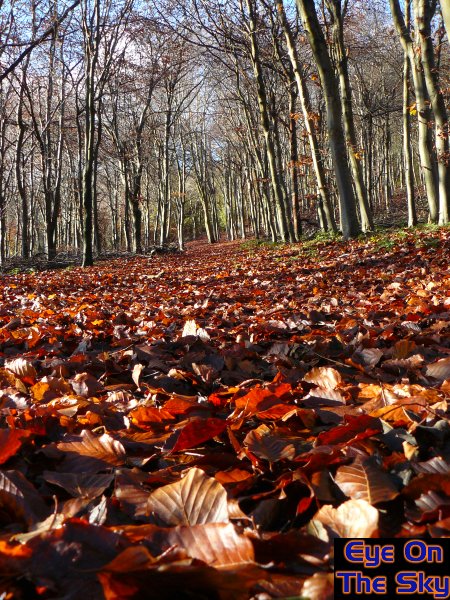 Autumn.