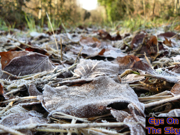 Frosty ground