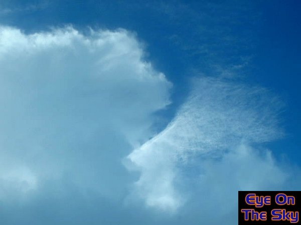 Developing Cb with anvil