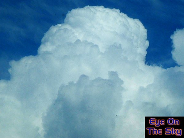 Growing cumulus