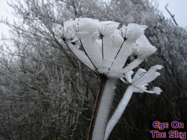 Frozen in time