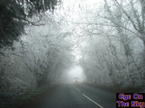 Winter wonderland
