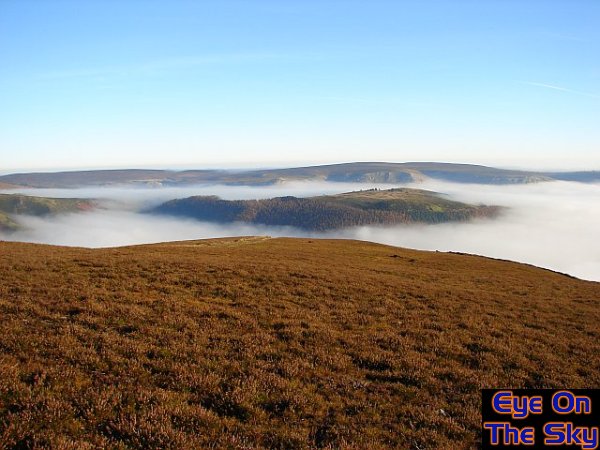 A fog island!